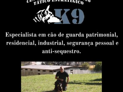 Adestramento Profissional de cães com especializações internacionais desde 1997.