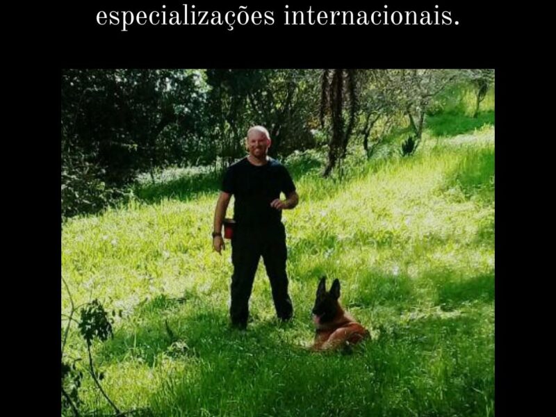 Adestramento Profissional de cães com especializações internacionais desde 1997.