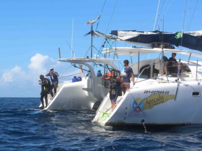 Experiência Exclusiva de Mergulho em Abrolhos