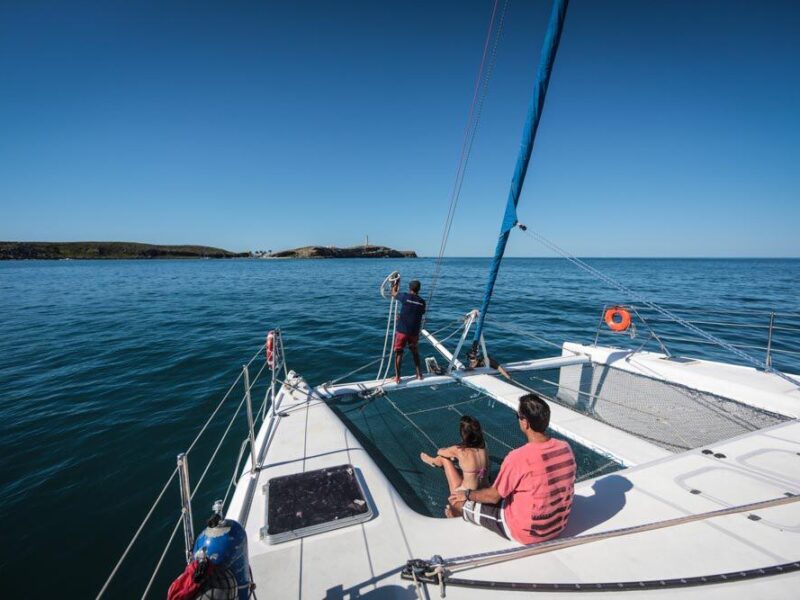 Experiência Exclusiva de Mergulho em Abrolhos