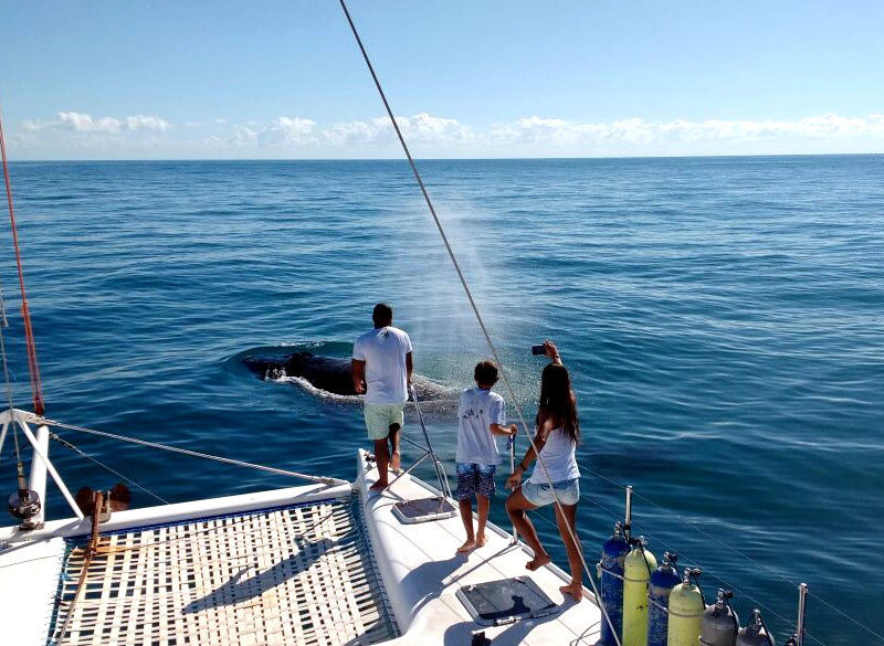 Experiência Exclusiva de Mergulho em Abrolhos