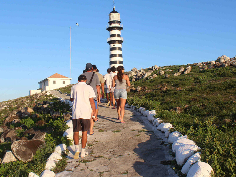 Experiência Exclusiva de Mergulho em Abrolhos