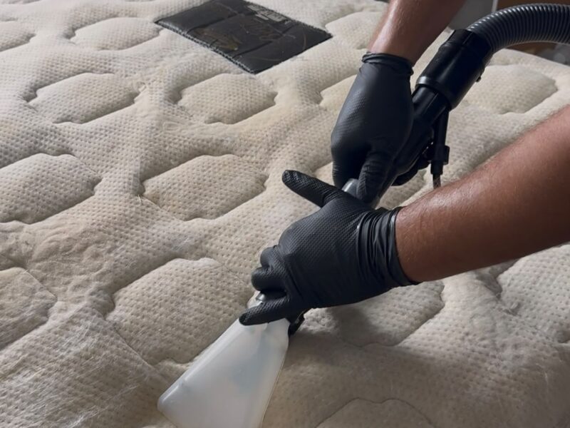 Renova Clean | Higienização Premium de Estofados